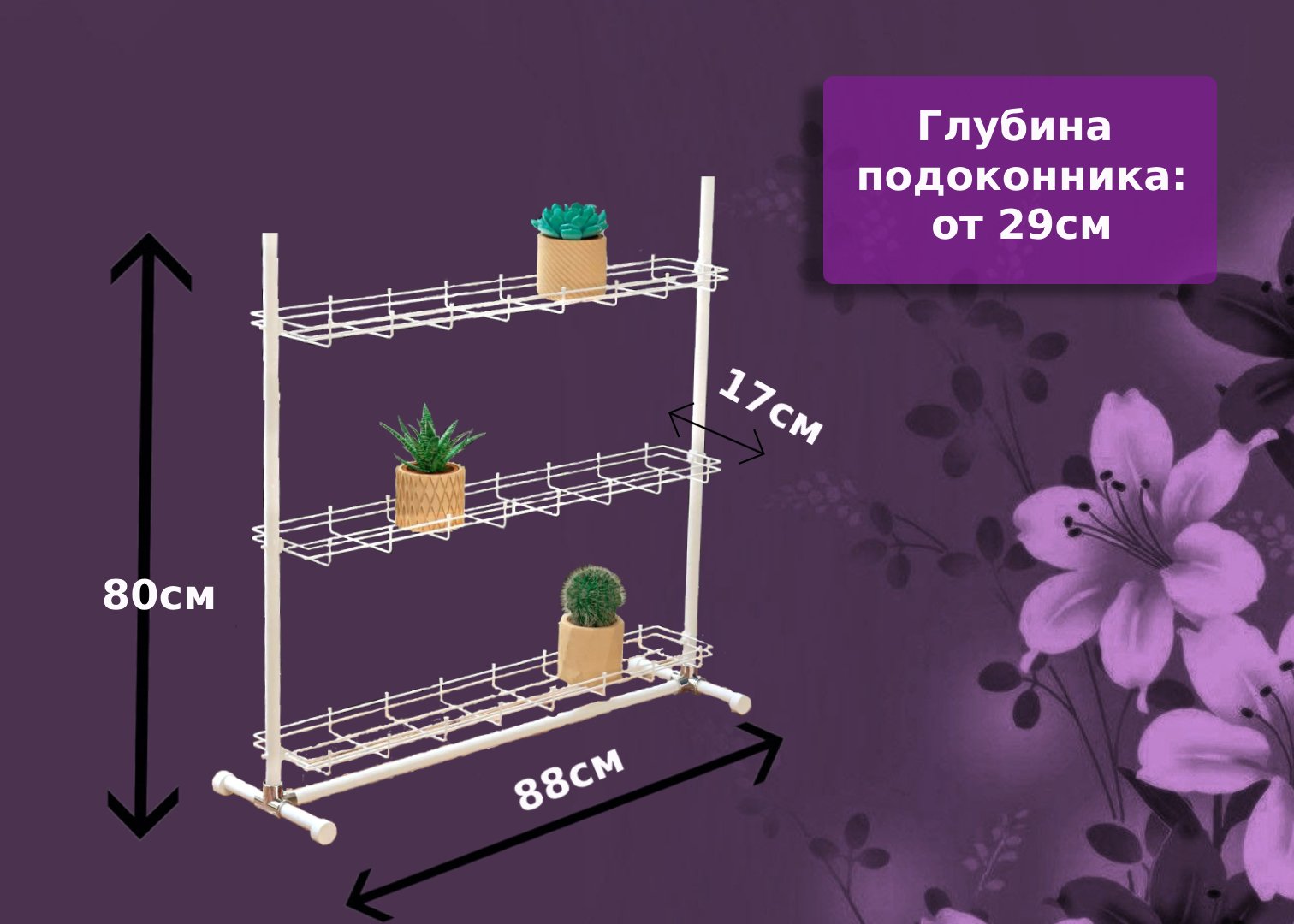 Кедр-мини на ножках . Фото N11