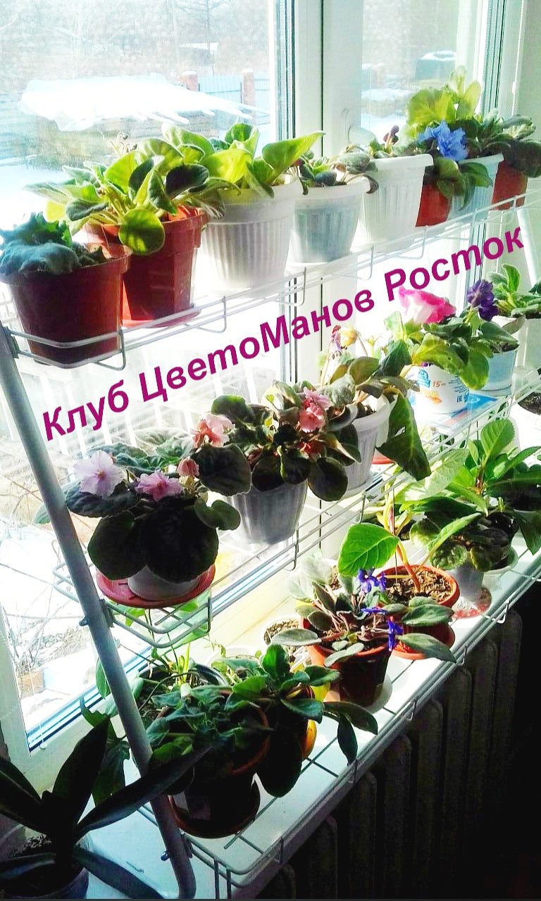 стеллаж для рассады и растений трехъярусный. Фото N18
